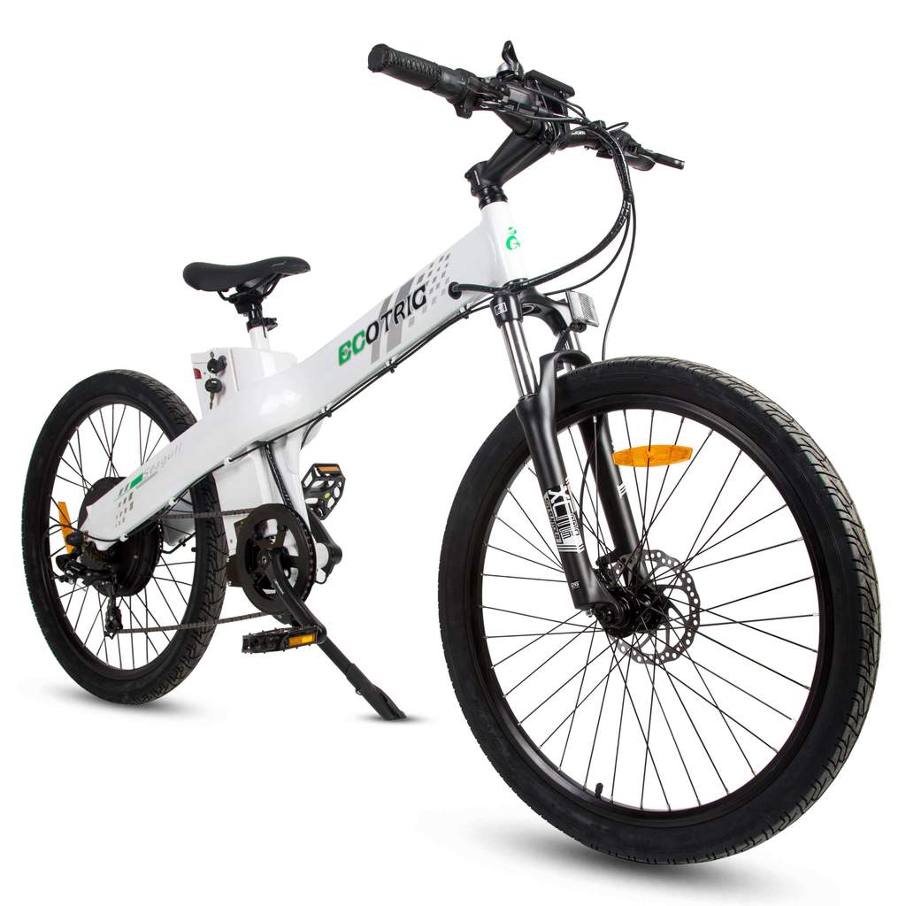 seagull electric mountain bicycle