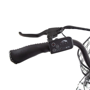 The PEACEDOVE Electric City Bike